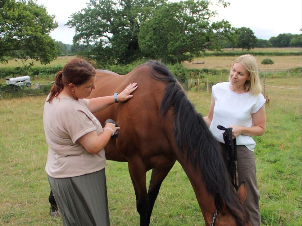 Anna and a client standing with a horse in a field